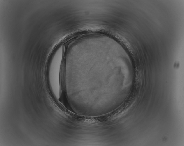X0000096970399200803071011