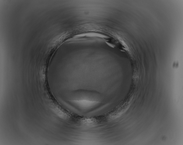 X0000096970402200803071011