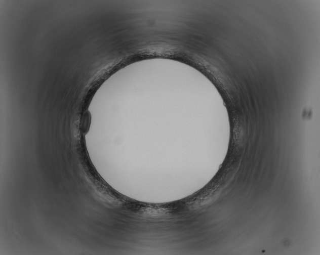 X0000096970403200803071011
