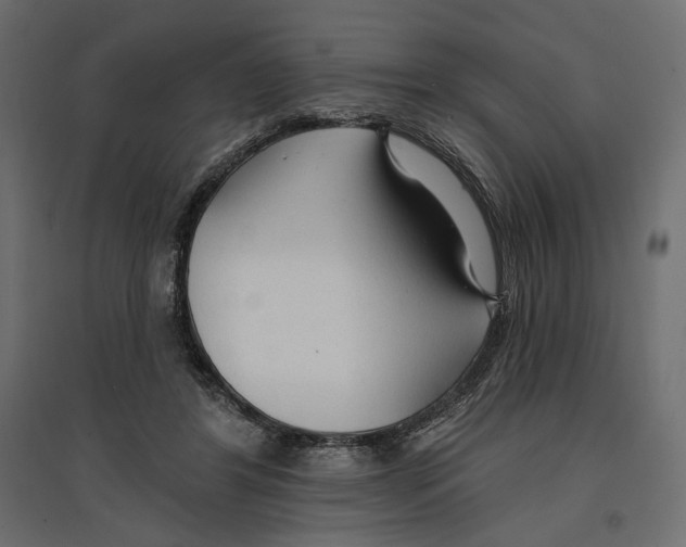 X0000096970404200803071011