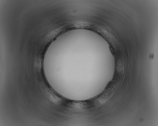 X0000096970405200803071011