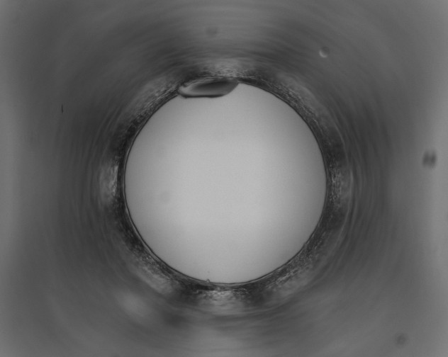 X0000096970406200803071011