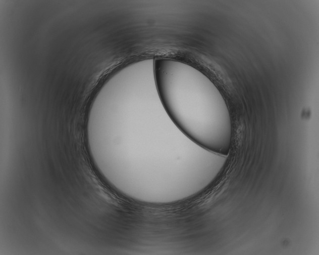 X0000096970407200803071011