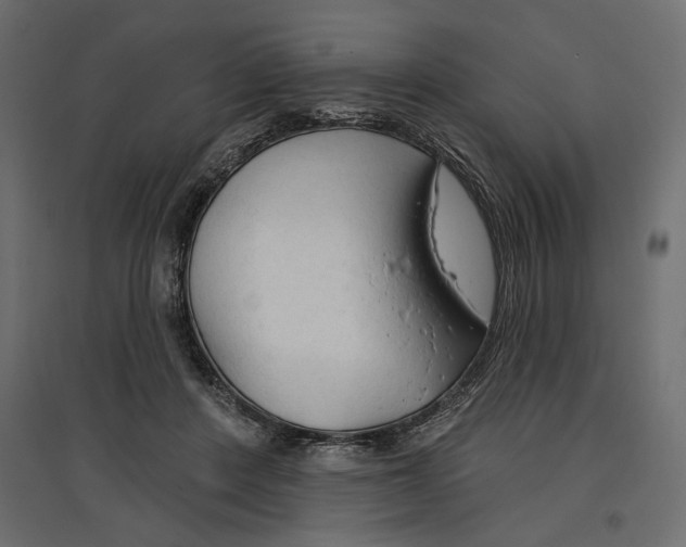 X0000096970408200803071011