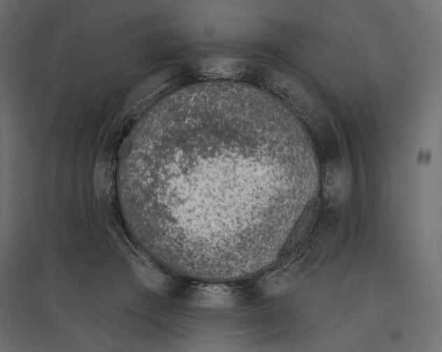 X0000096970409200803071011