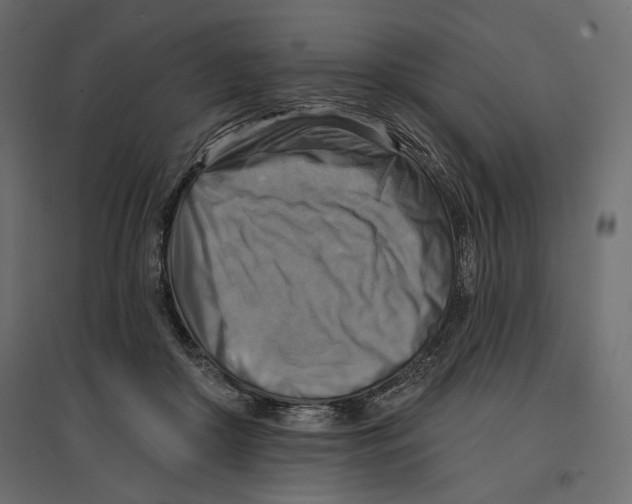 X0000096970410200803071011