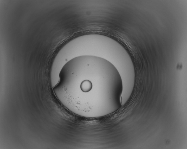 X0000096970411200803071011