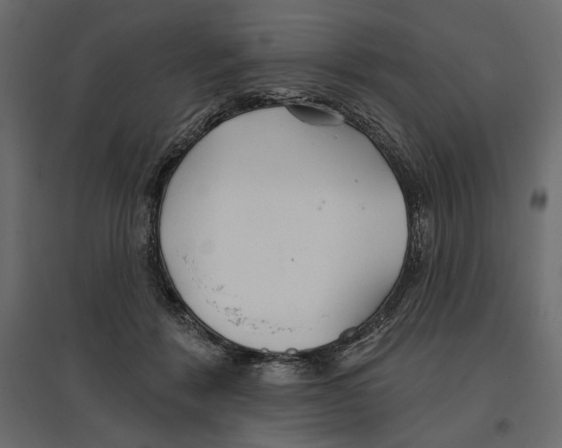 X0000096970412200803071011