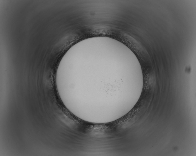 X0000096970414200803071011