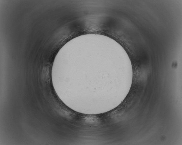 X0000096970415200803071011