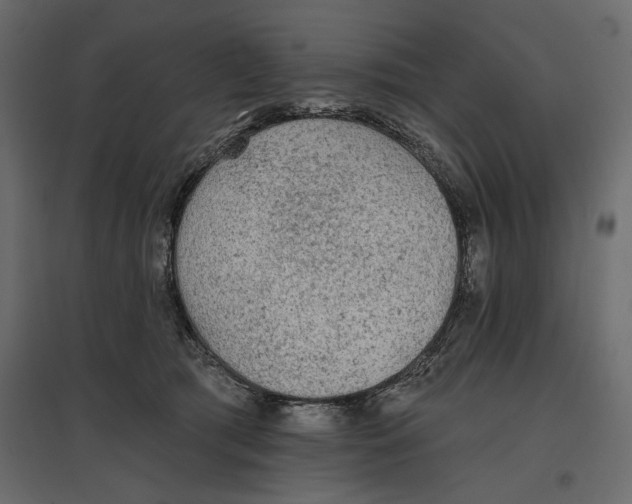 X0000096970417200803071011