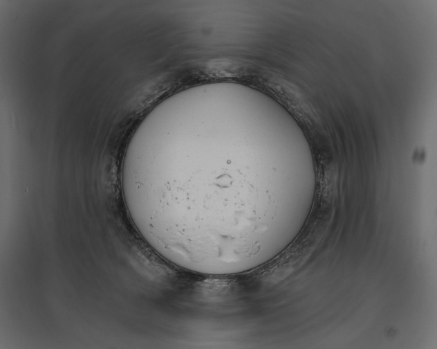X0000096970418200803071011