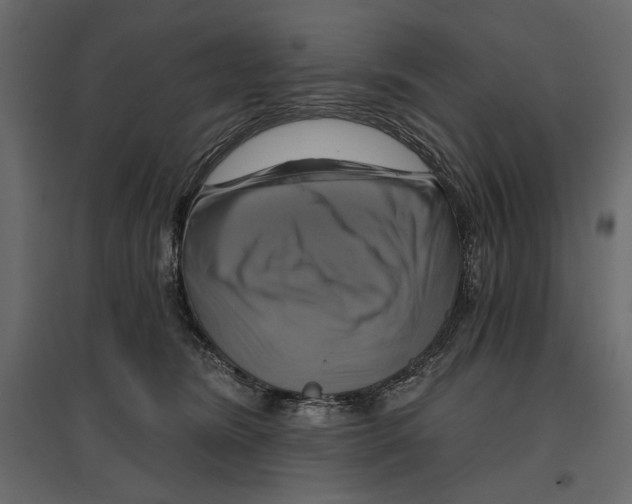 X0000096970420200803071011