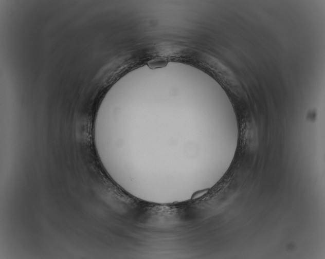 X0000096970421200803071011