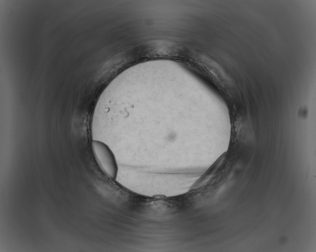 X0000096970423200803071010