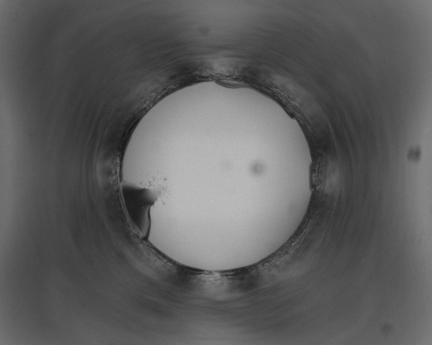 X0000096970425200803071010