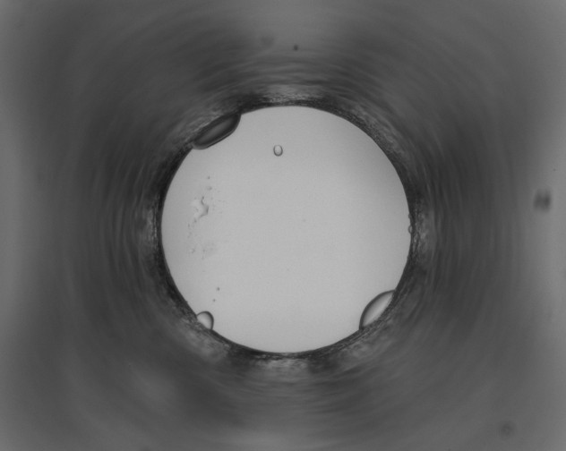X0000096970426200803071010
