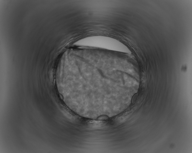 X0000096970428200803071010