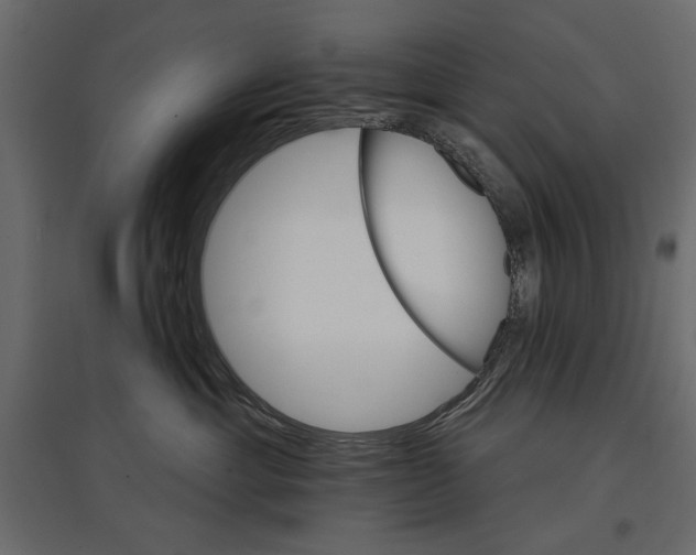 X0000096970429200803071010