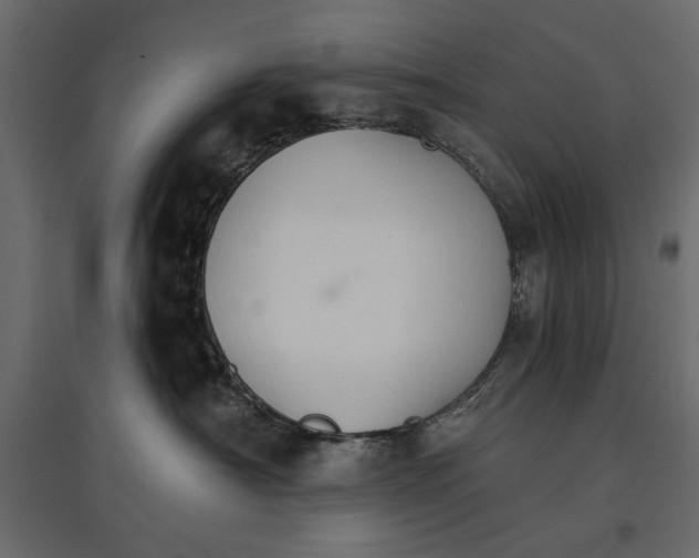 X0000096970430200803071010
