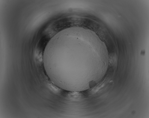 X0000096970431200803071010