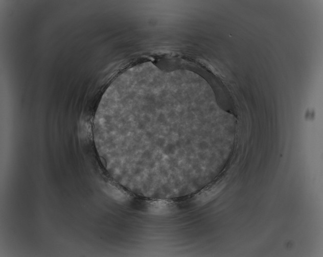 X0000096970432200803071010