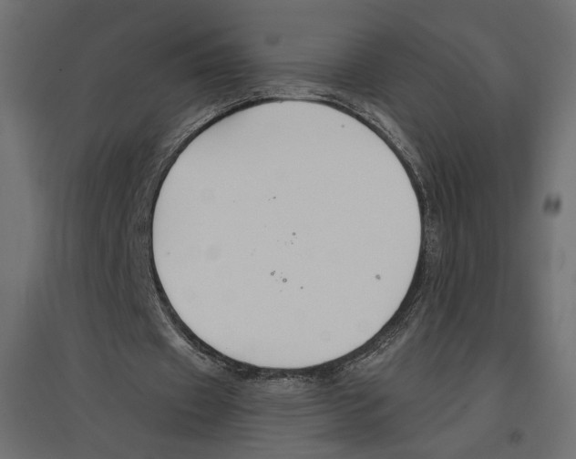 X0000096970433200803071010