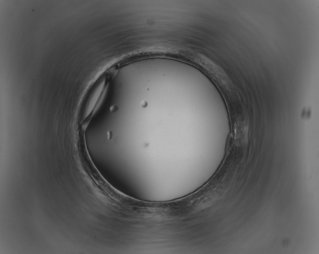 X0000096970436200803071010