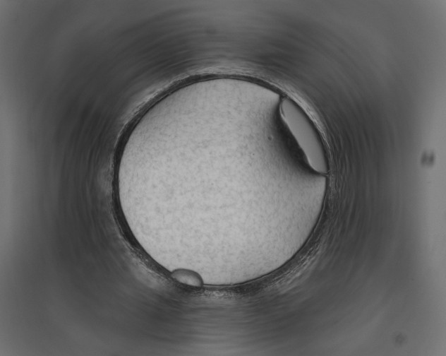X0000096970437200803071010