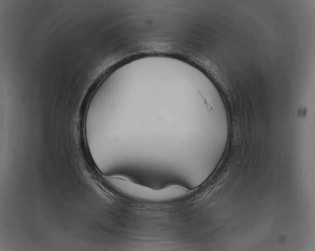 X0000096970439200803071010
