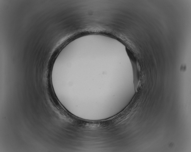 X0000096970440200803071010