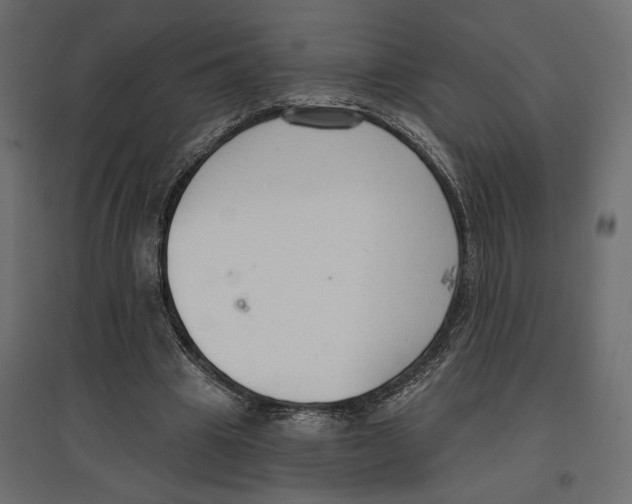 X0000096970441200803071010