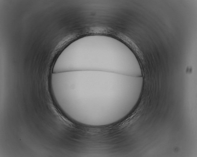 X0000096970442200803071010