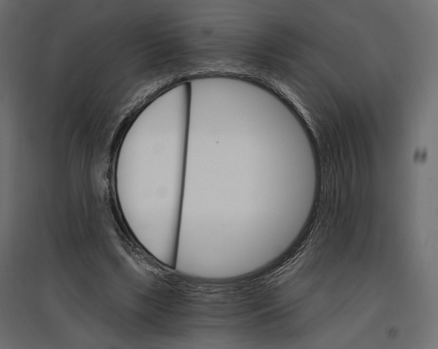 X0000096970443200803071010