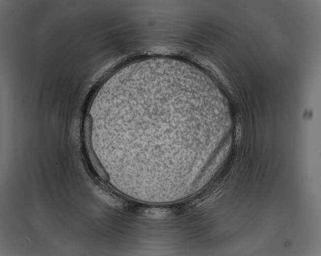 X0000096970444200803071010