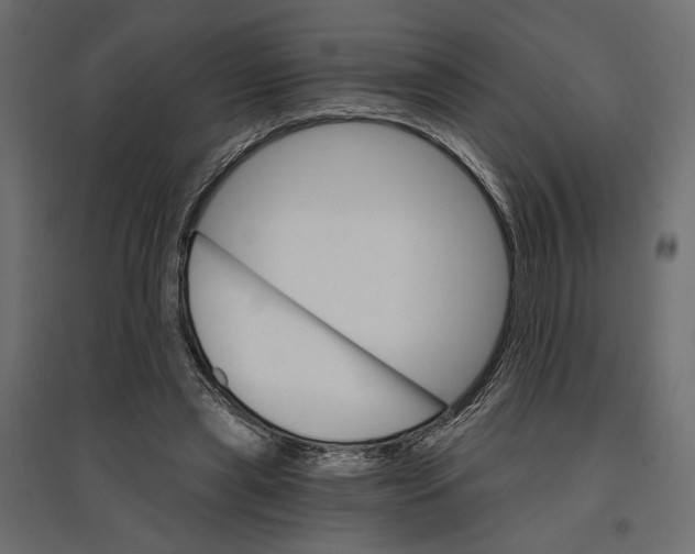X0000096970445200803071010