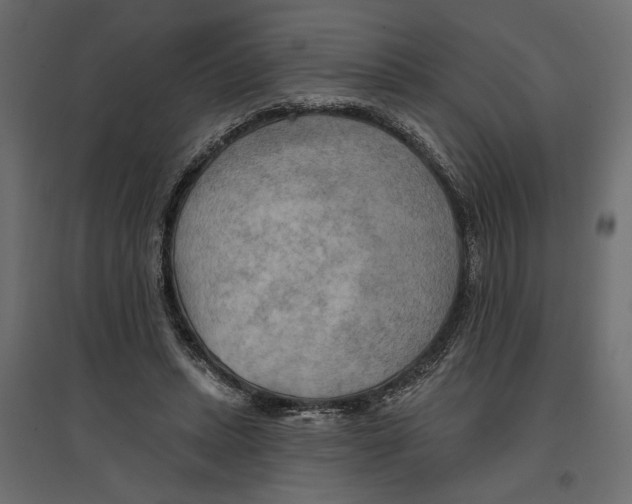X0000096970447200803071010