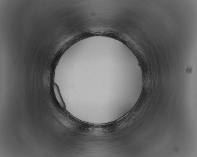 X0000096970448200803071010
