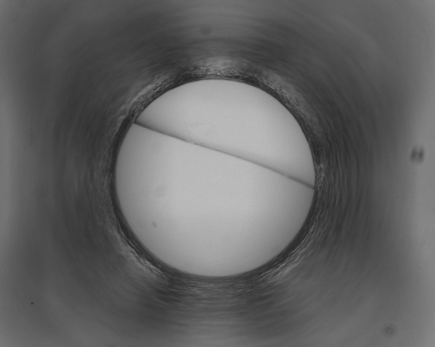 X0000096970450200803071010