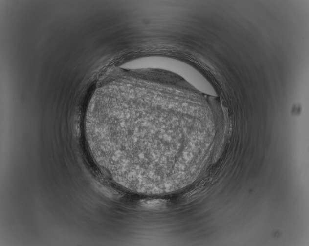 X0000096970452200803071010