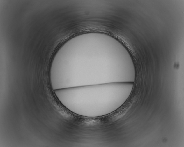 X0000096970453200803071010