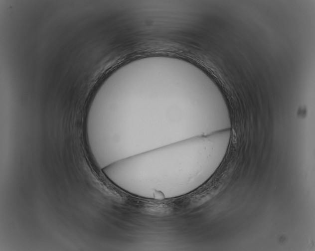 X0000096970454200803071010