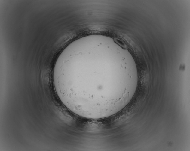 X0000096970455200803071010