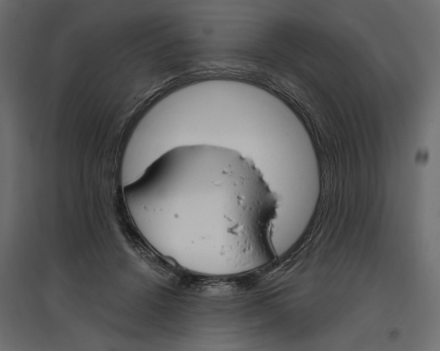 X0000096970456200803071010