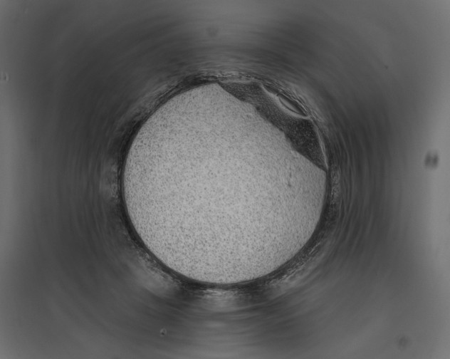 X0000096970457200803071010