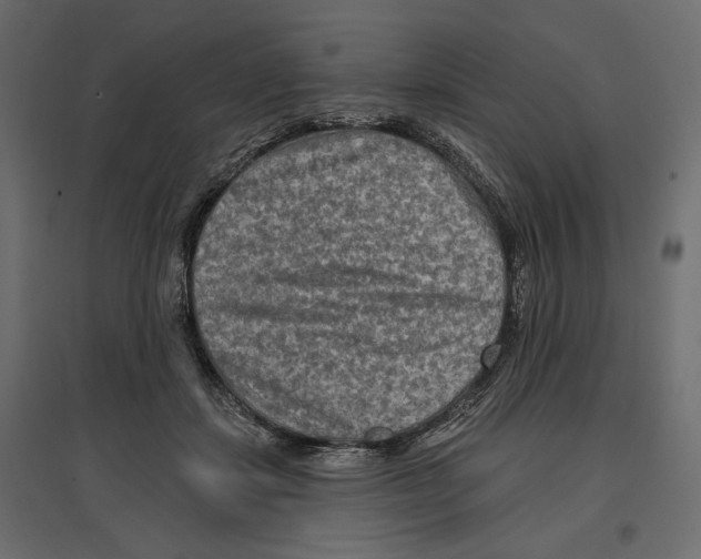X0000096970459200803071010