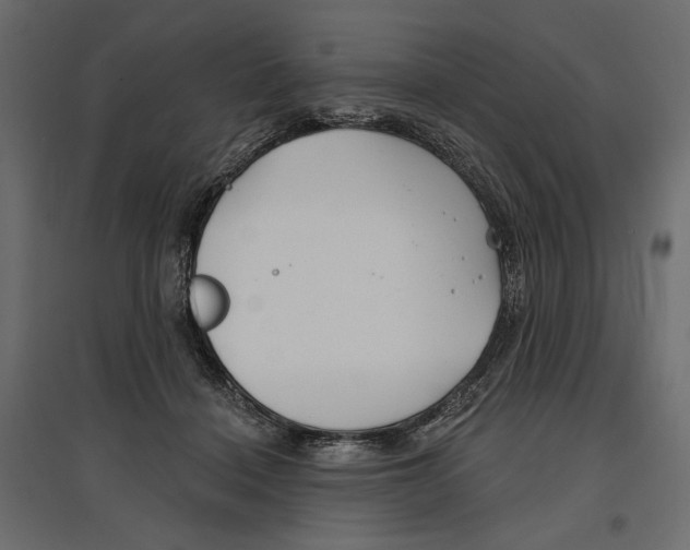 X0000096970460200803071010