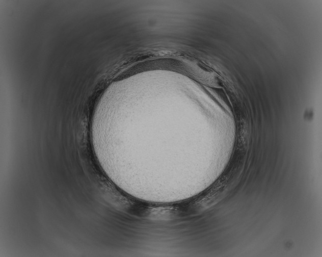 X0000096970461200803071010