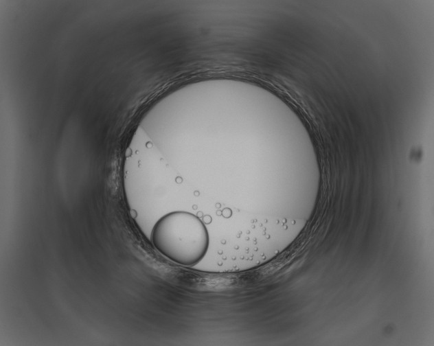 X0000096970462200803071010