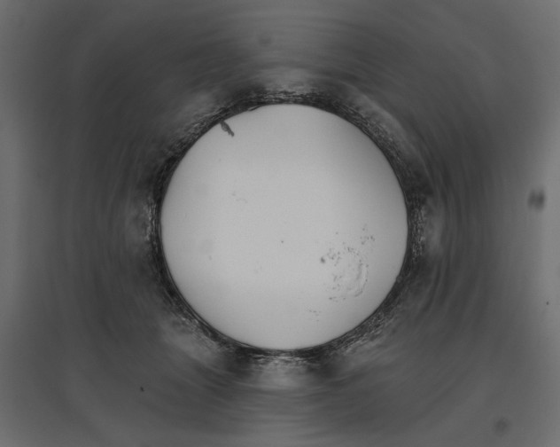 X0000096970463200803071010